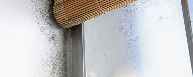 Condensatievocht in badkamer behandelen en bestrijden Vocht.be